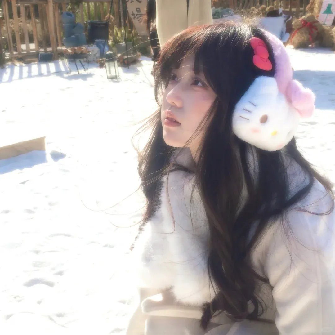 警网：比哈尔邦篇